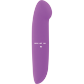 GLOSSY PHIL VIBRATORE VIOLA